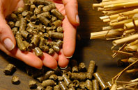 free Higher Green biomass boiler quotes